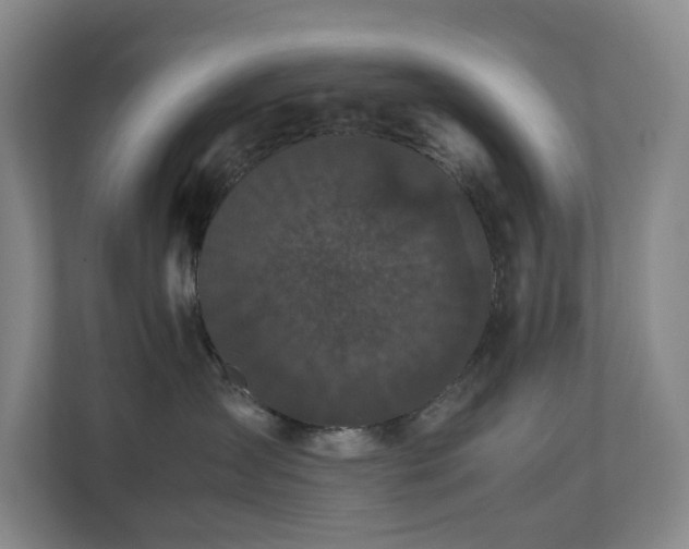 X0000111120431200906301314