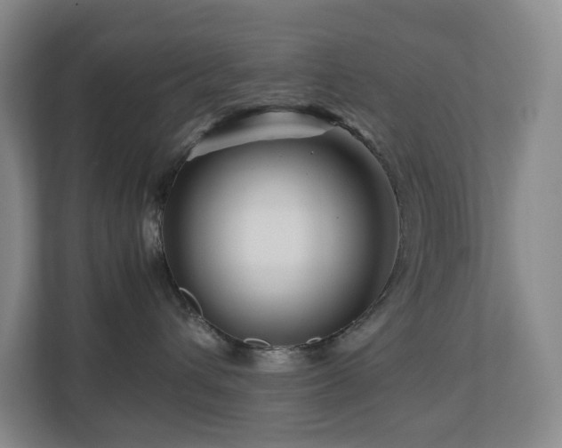 X0000111120432200906301314