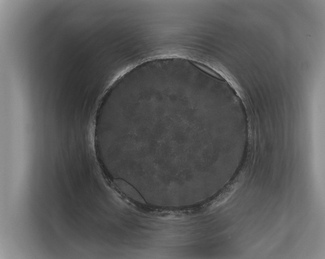 X0000111120434200906301314