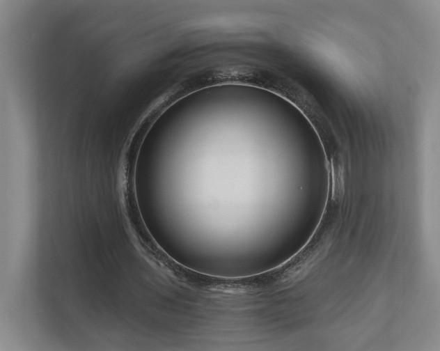 X0000111120435200906301314