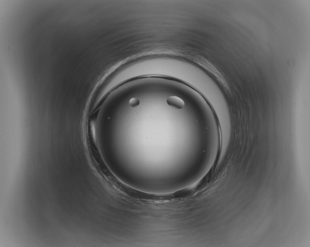 X0000111120436200906301314