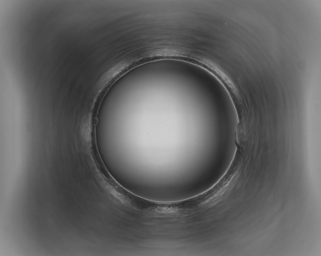 X0000111120437200906301314