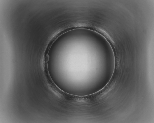 X0000111120439200906301314