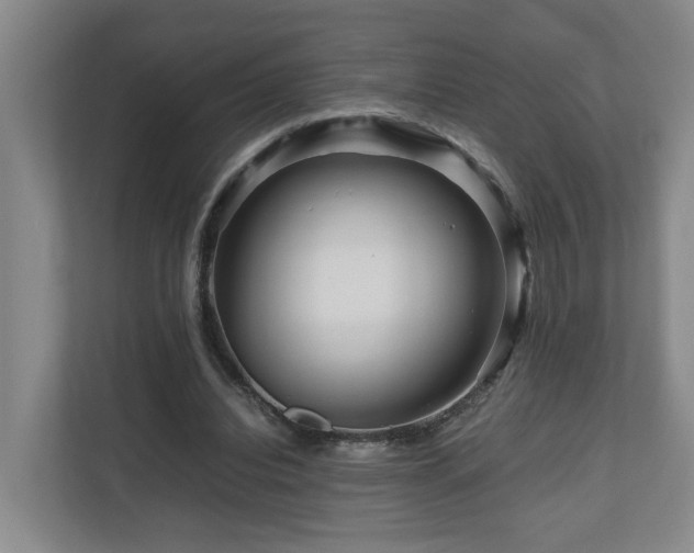 X0000111120440200906301314