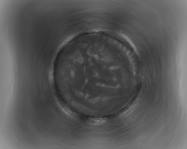 X0000111120443200906301314