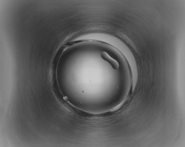 X0000111120444200906301314