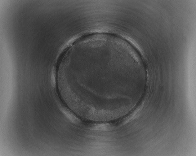 X0000111120446200906301314