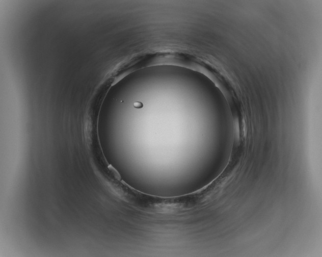 X0000111120448200906301314