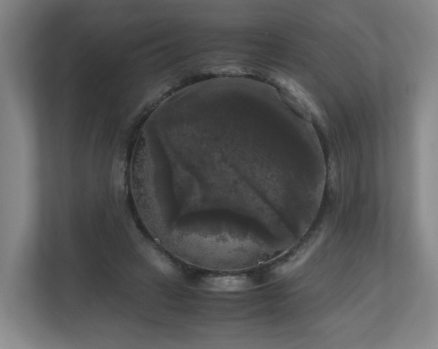 X0000111120449200906301314