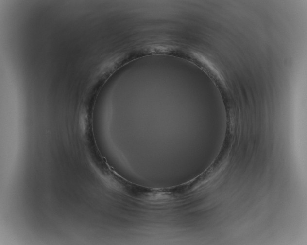 X0000111120451200906301314