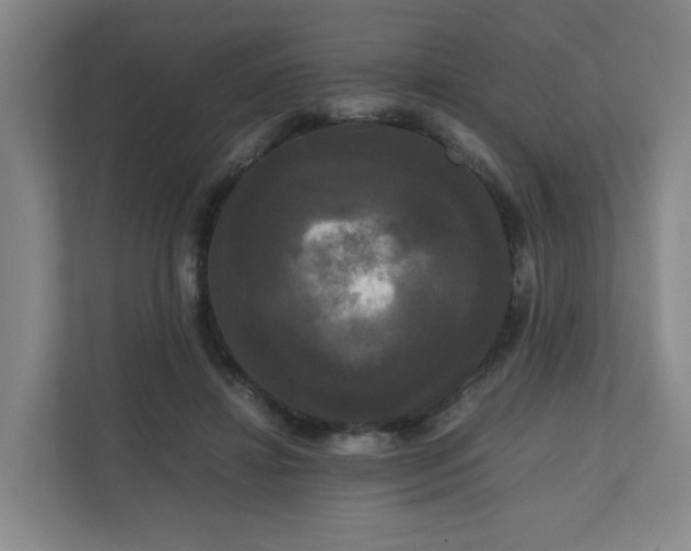 X0000111120452200906301314