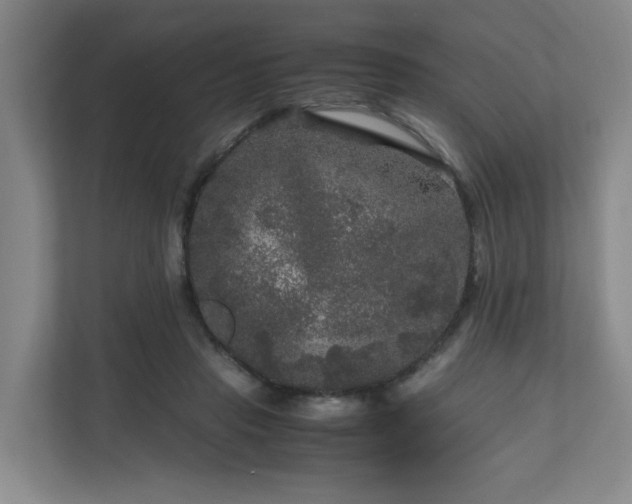 X0000111120453200906301314