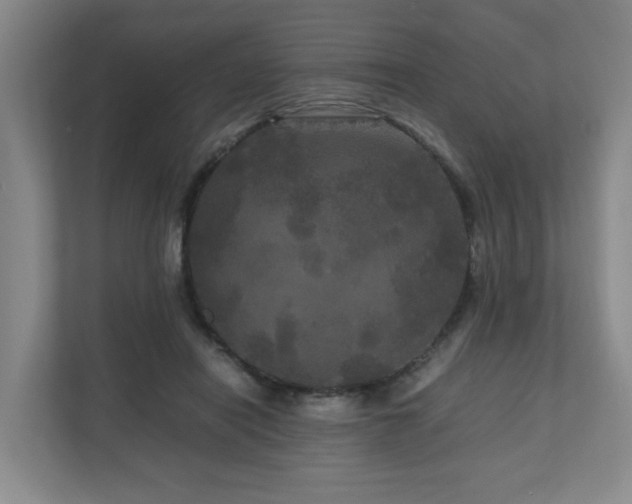 X0000111120454200906301314