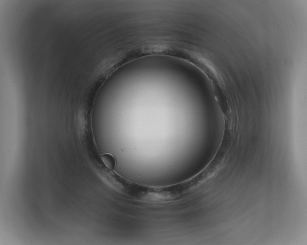 X0000111120455200906301314