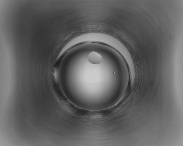 X0000111120456200906301314