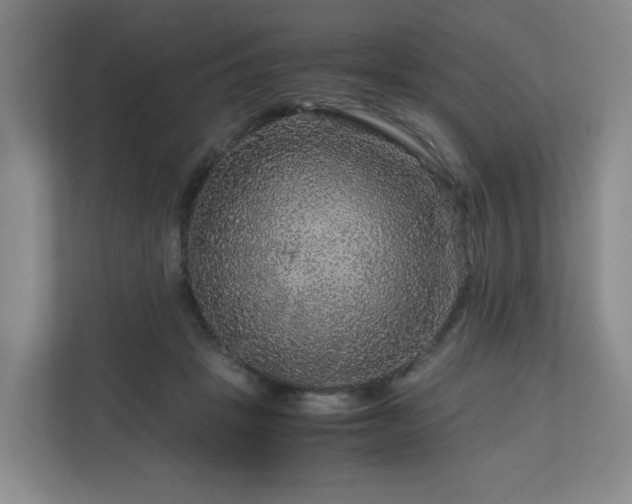 X0000111120457200906301314