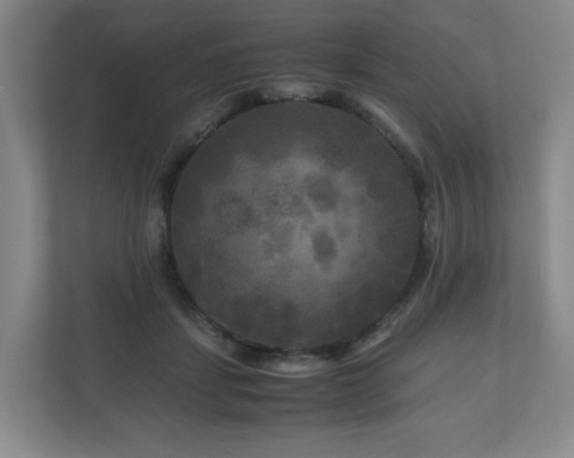 X0000111120459200906301314