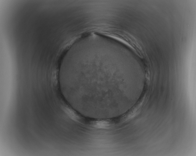 X0000111120462200906301314