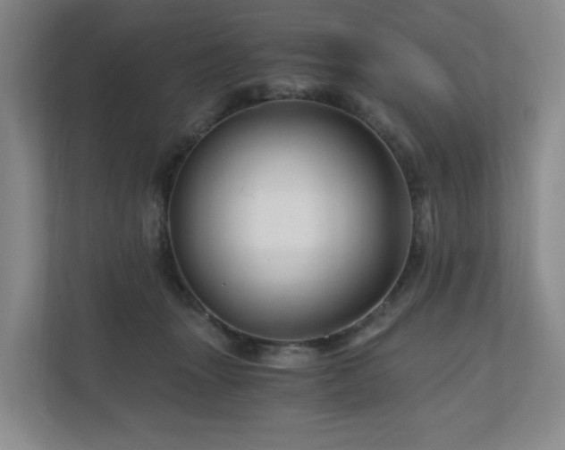 X0000111120463200906301314