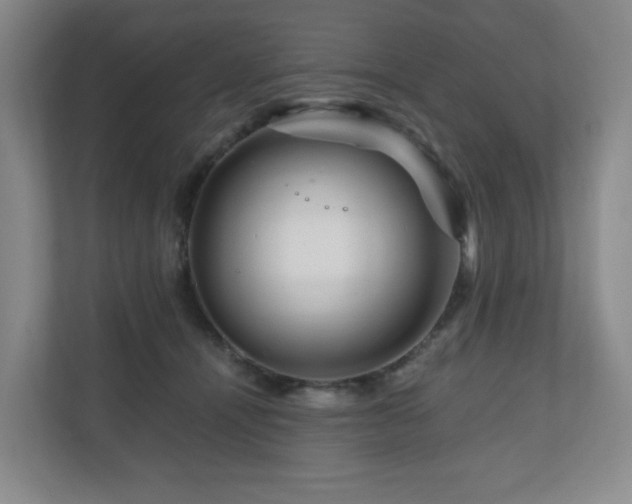 X0000111120464200906301314