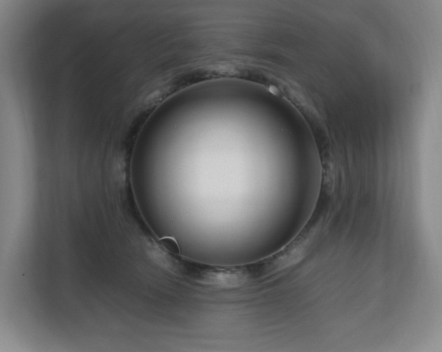 X0000111120466200906301314