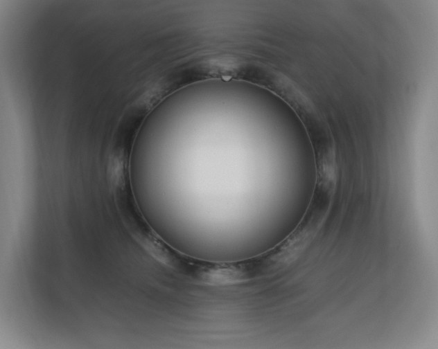 X0000111120468200906301314