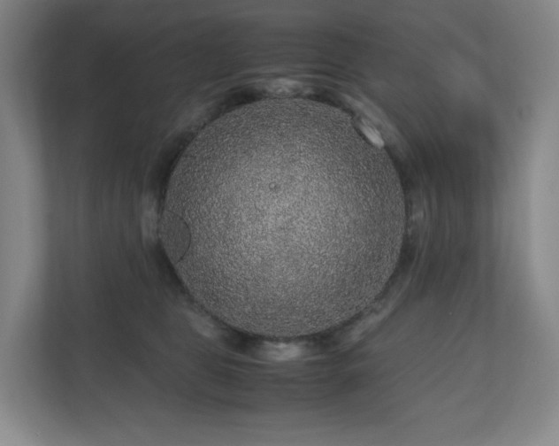 X0000111120469200906301314