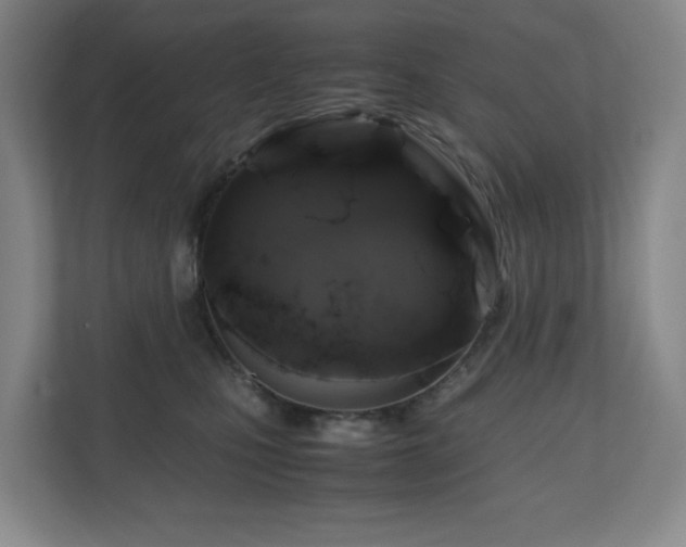 X0000111120471200906301314