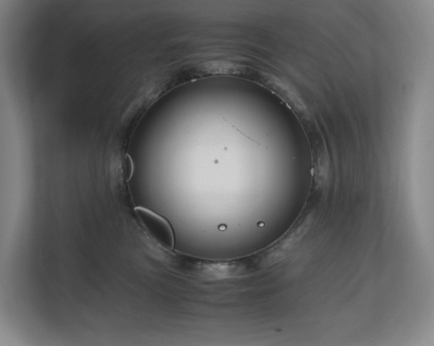 X0000111120473200906301314