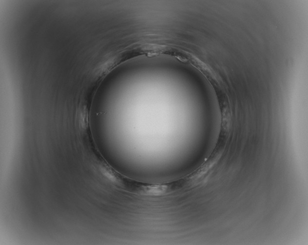 X0000111120474200906301314