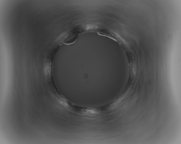 X0000111120475200906301314