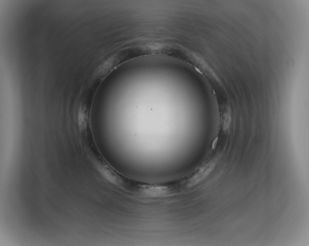 X0000111120476200906301314