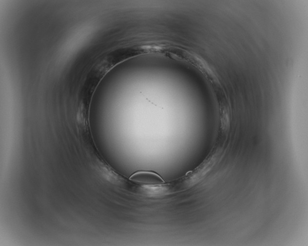 X0000111120477200906301314