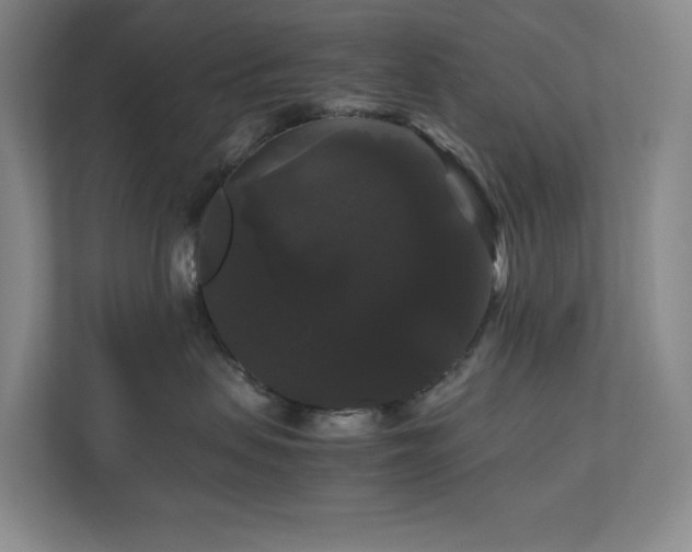 X0000111120479200906301314