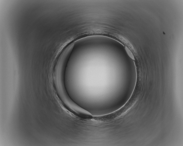 X0000111120481200906301314