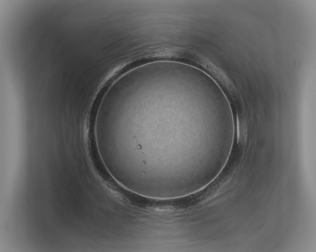 X0000111120483200906301314