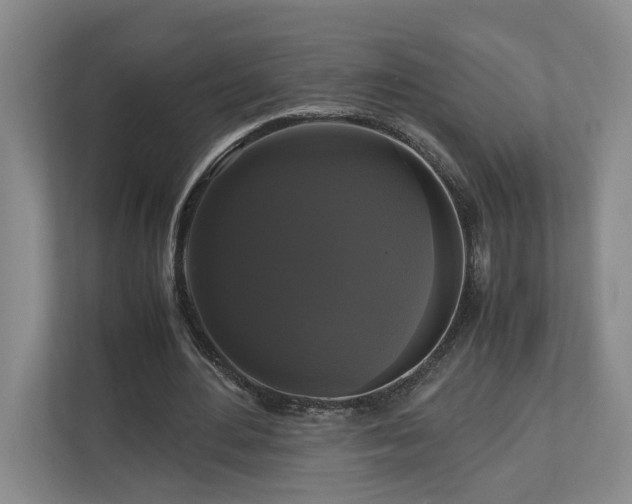 X0000111120484200906301314