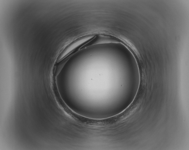 X0000111120485200906301314