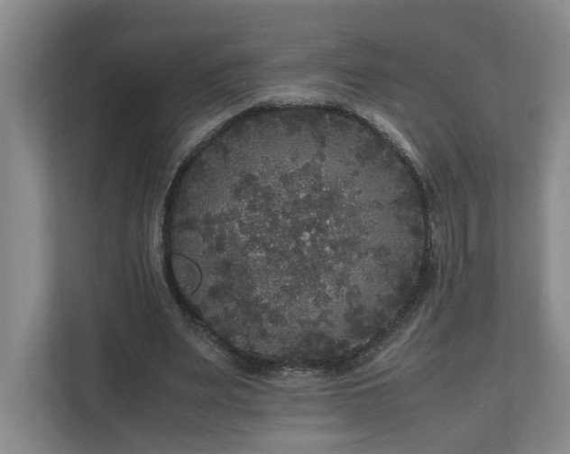 X0000111120487200906301314