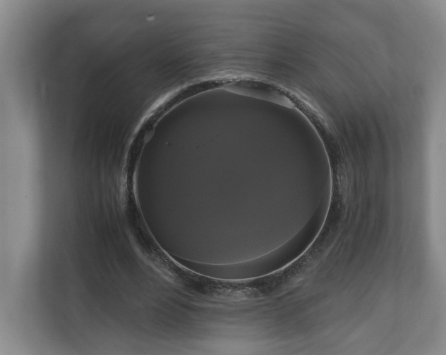 X0000111120488200906301313