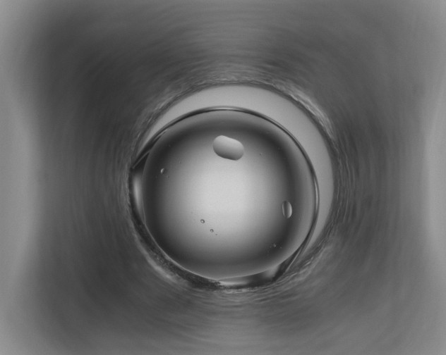 X0000111120489200906301313