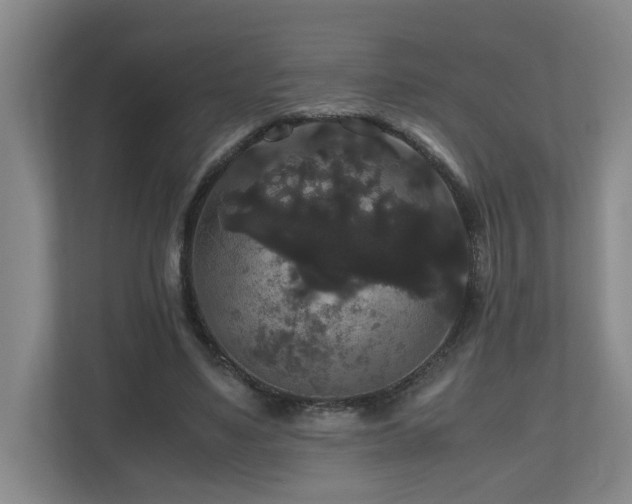 X0000111120491200906301313