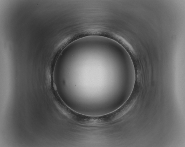 X0000111120493200906301313