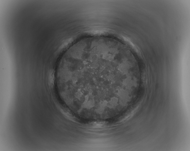 X0000111120495200906301313