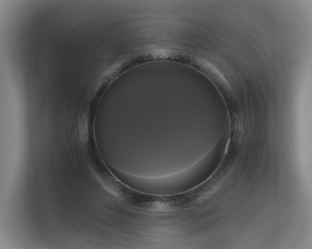 X0000111120496200906301313