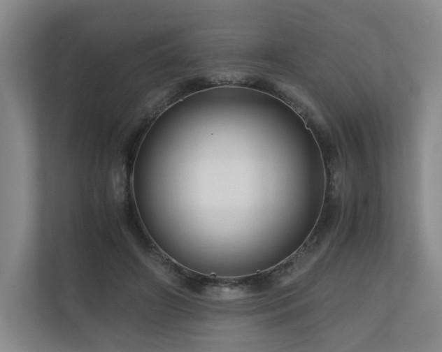 X0000111120498200906301313