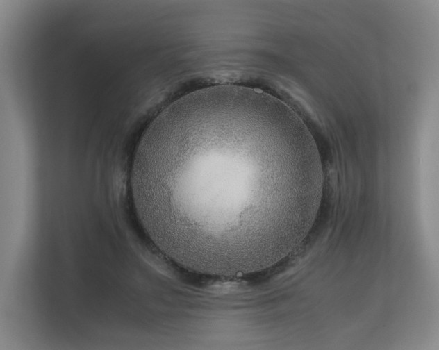 X0000111120499200906301313