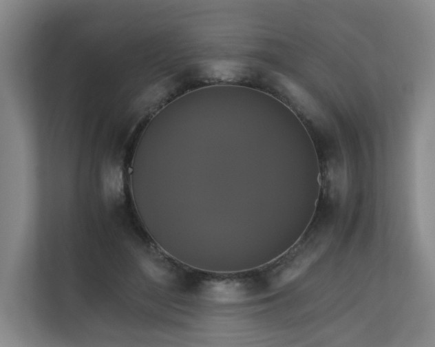 X0000111120500200906301313