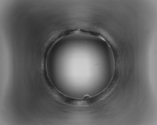 X0000111120501200906301313