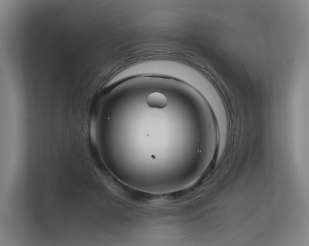 X0000111120505200906301313